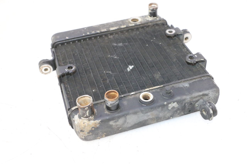 photo de RADIATOR HONDA FES PANTHEON 2T 125 (1998 - 2002) - Alternative perspective