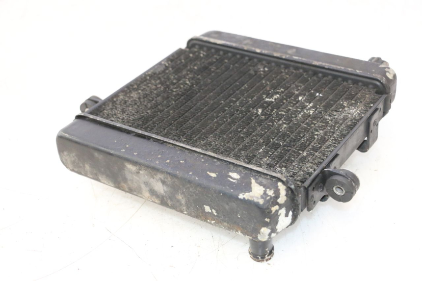 photo de RADIATOR HONDA FES PANTHEON 2T 125 (1998 - 2002) - Product overview