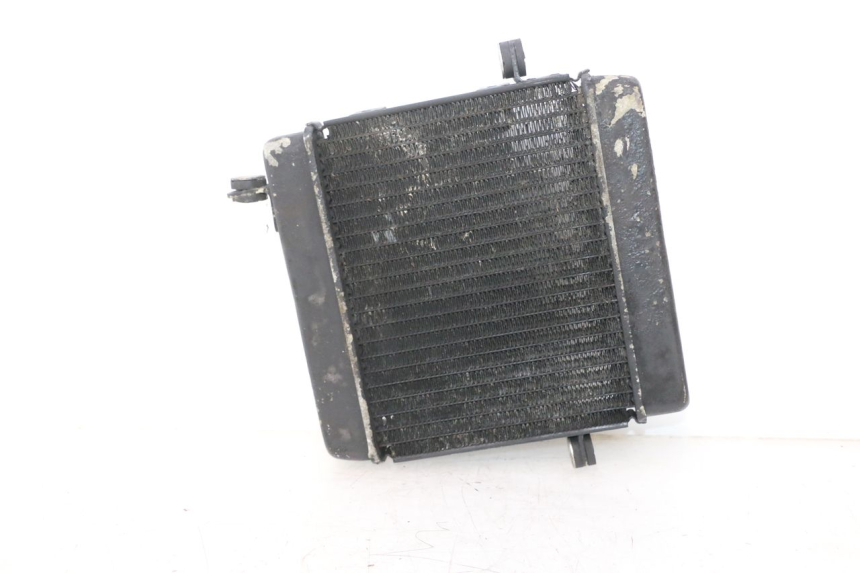 photo de RADIATOR HONDA FES PANTHEON 2T 125 (1998 - 2002) - Surface and material condition