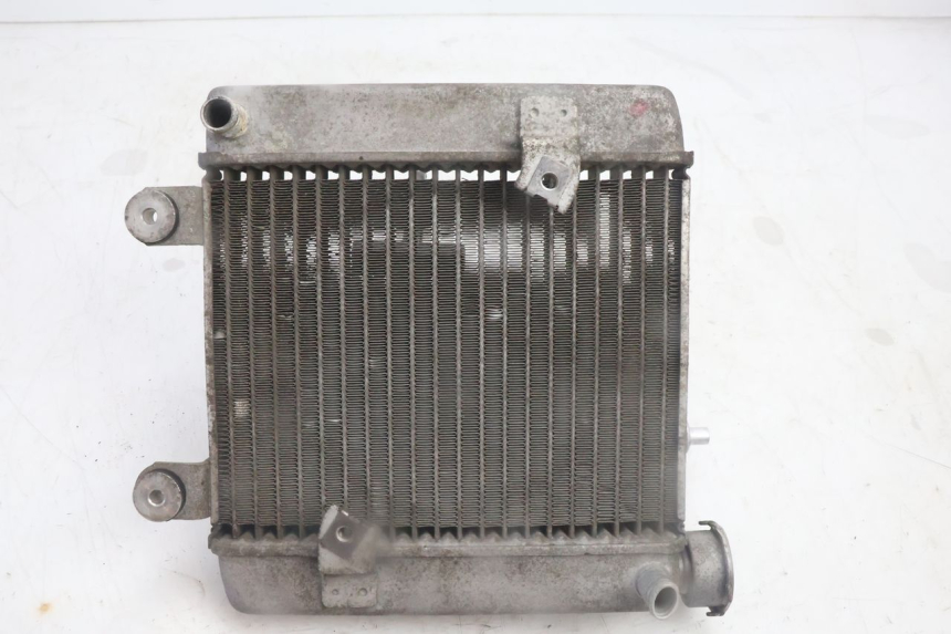 photo de COOLANT RADIATOR HONDA FES PANTHEON 125 (2003 - 2007) - Main view