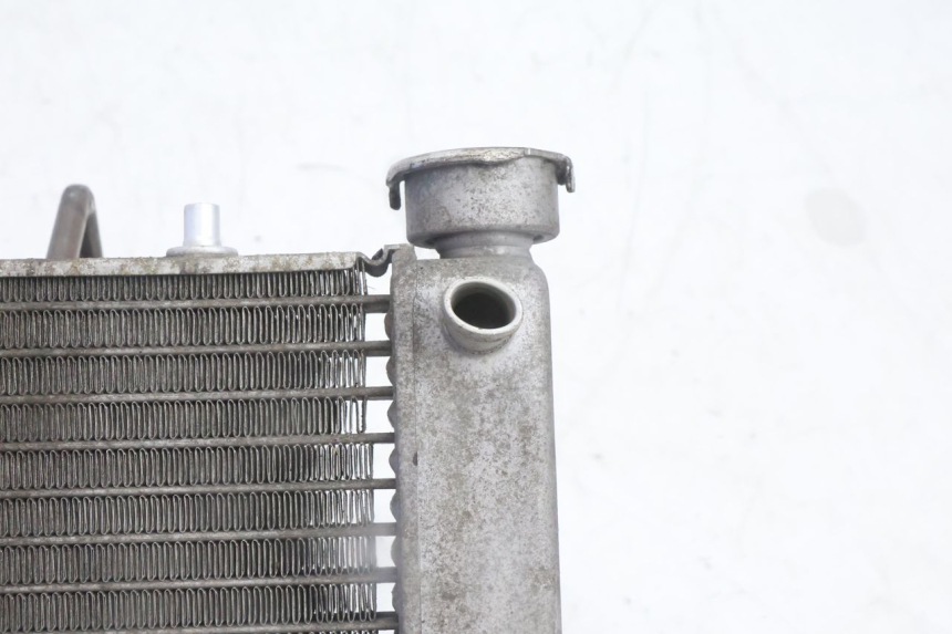 photo de COOLANT RADIATOR HONDA FES PANTHEON 125 (2003 - 2007) - Component detail