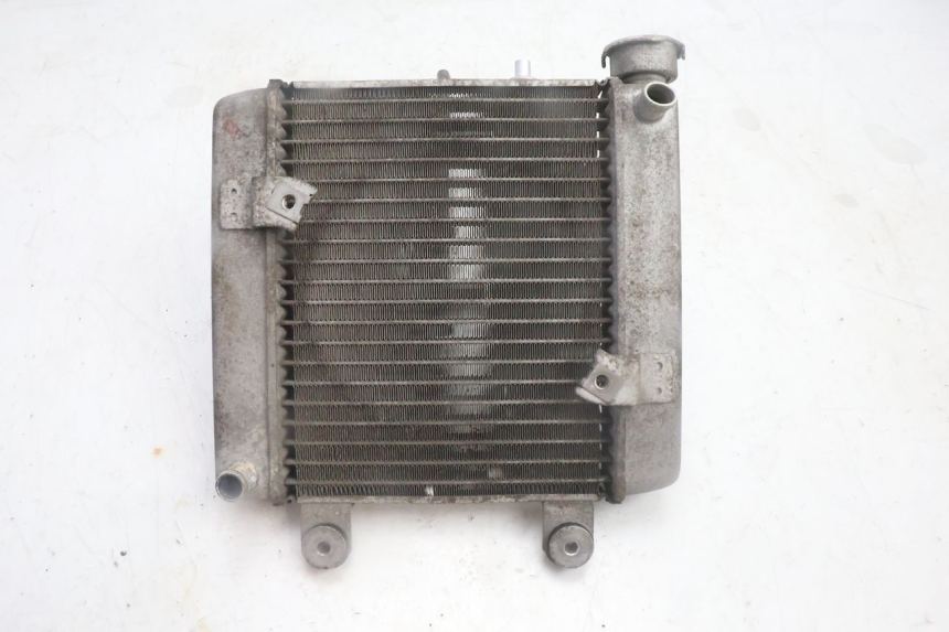 photo de COOLANT RADIATOR HONDA FES PANTHEON 125 (2003 - 2007) - Zoom on usage condition