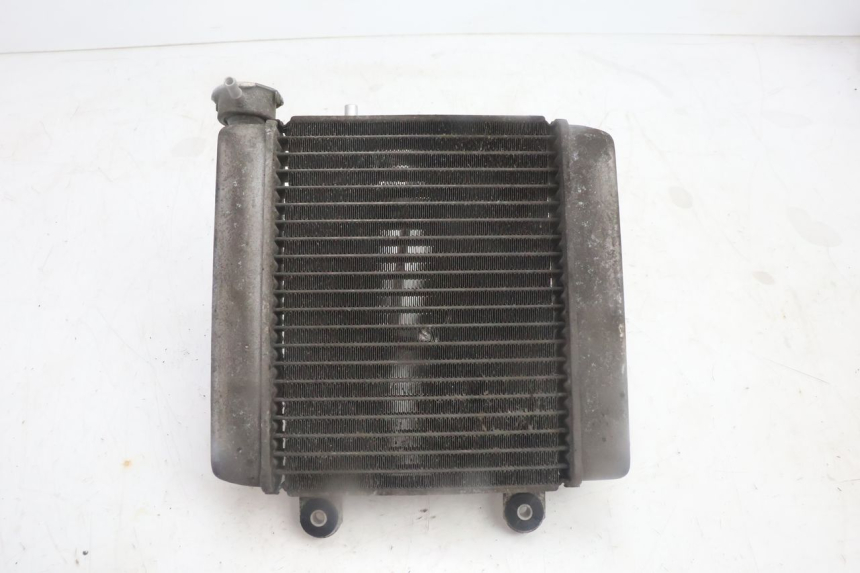 photo de COOLANT RADIATOR HONDA FES PANTHEON 125 (2003 - 2007) - Alternative perspective