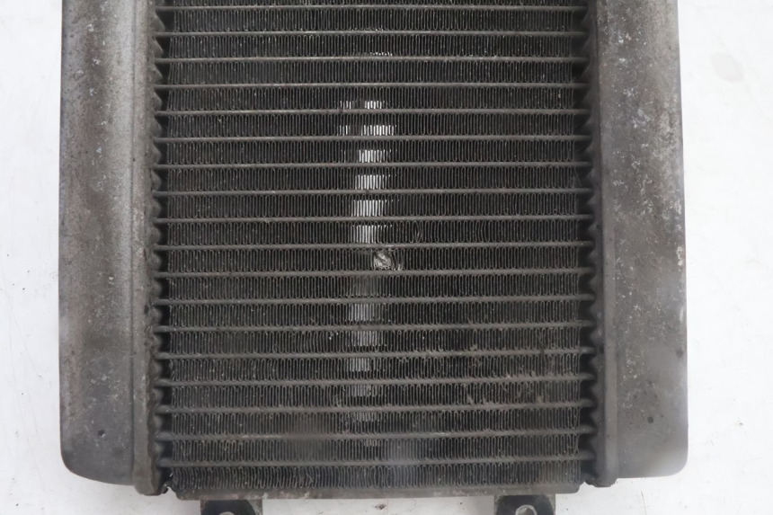 photo de COOLANT RADIATOR HONDA FES PANTHEON 125 (2003 - 2007) - Technical close-up