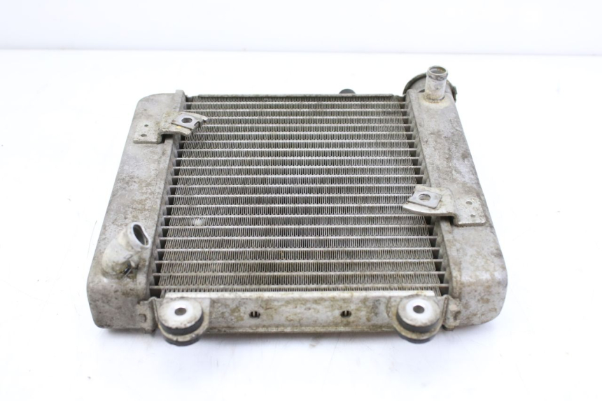 photo de RADIATOR HONDA FES S-WING SWING ABS 125 (2007 - 2015) - Alternative perspective