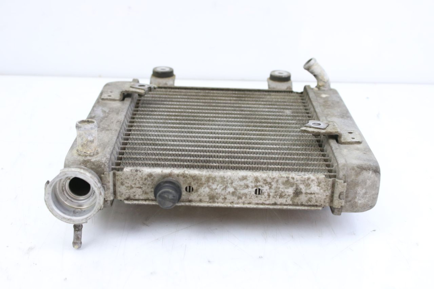 photo de RADIATOR HONDA FES S-WING SWING ABS 125 (2007 - 2015) - Technical close-up