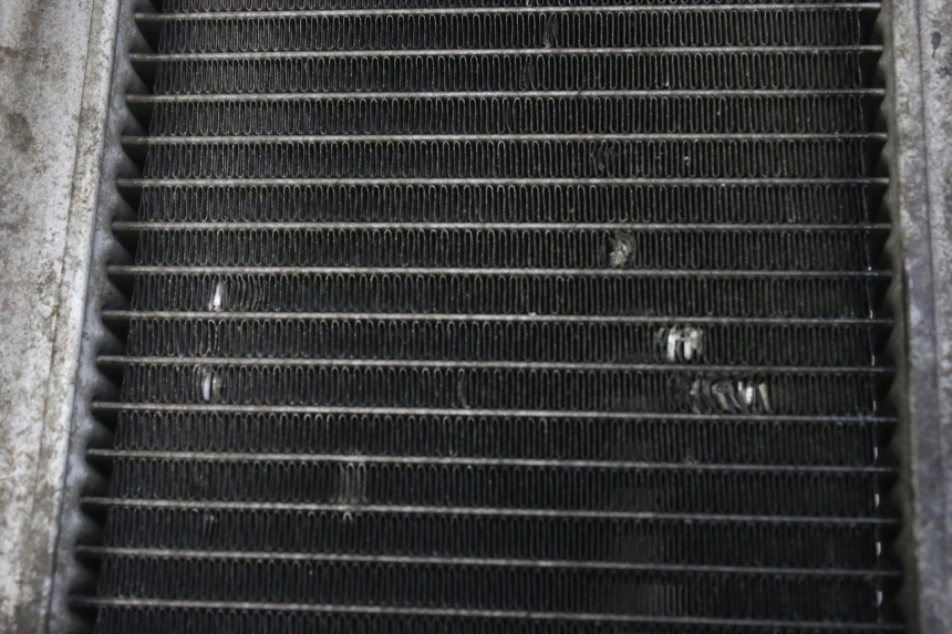 photo de RADIATOR HONDA FES S-WING SWING ABS 125 (2007 - 2015) - Zoom on usage condition