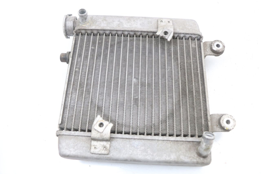 photo de RADIATOR HONDA FES S-WING SWING ABS 125 (2007 - 2015) - Zoom on usage condition