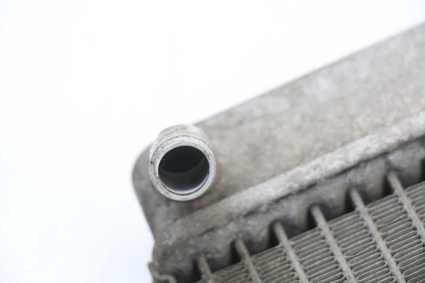 photo de RADIATOR HONDA FES S-WING SWING ABS 125 (2007 - 2015) - Technical close-up