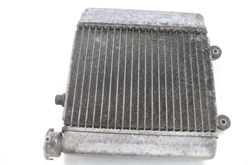 photo de RADIATOR HONDA FES S-WING SWING ABS 125 (2007 - 2015) - Surface and material condition