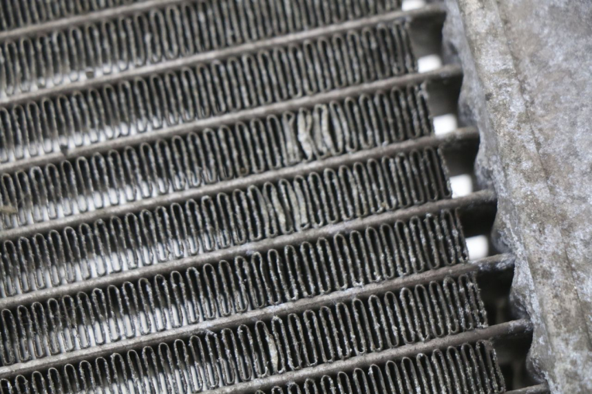 photo de RADIATOR HONDA FES S-WING SWING ABS 125 (2007 - 2015) - Checked used part