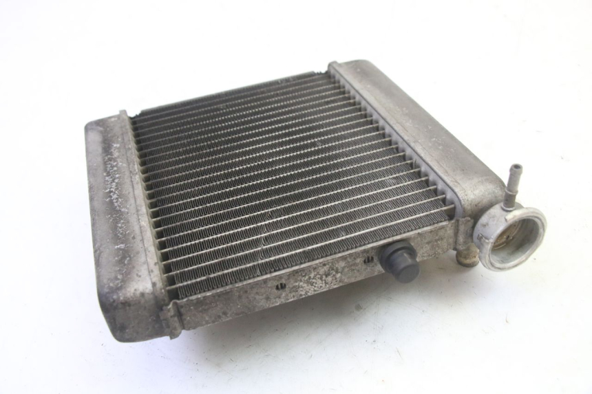photo de RADIATOR HONDA FES S-WING SWING ABS 125 (2007 - 2015) - Component detail