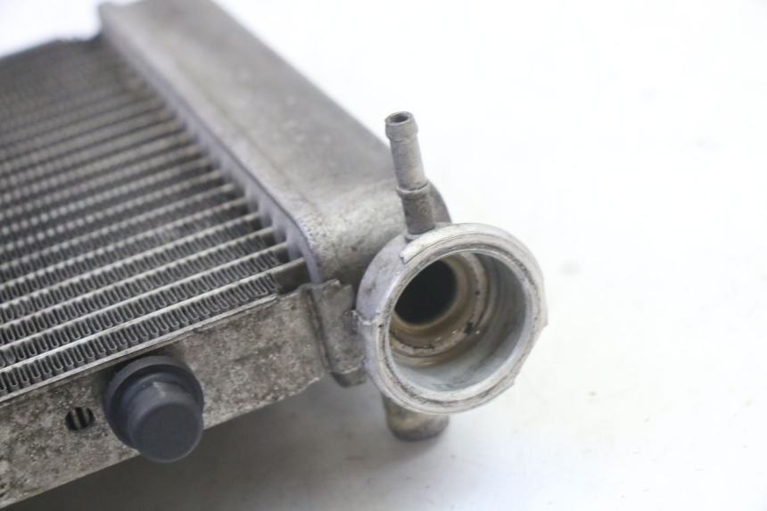 photo de RADIATOR HONDA FES S-WING SWING ABS 125 (2007 - 2015) - Zoom on usage condition