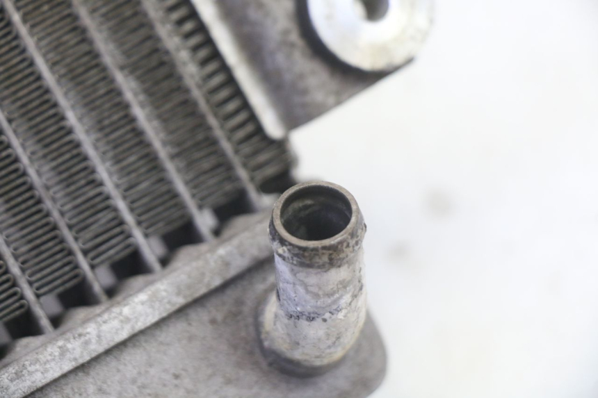 photo de RADIATOR HONDA FES S-WING SWING ABS 125 (2007 - 2015) - Product overview