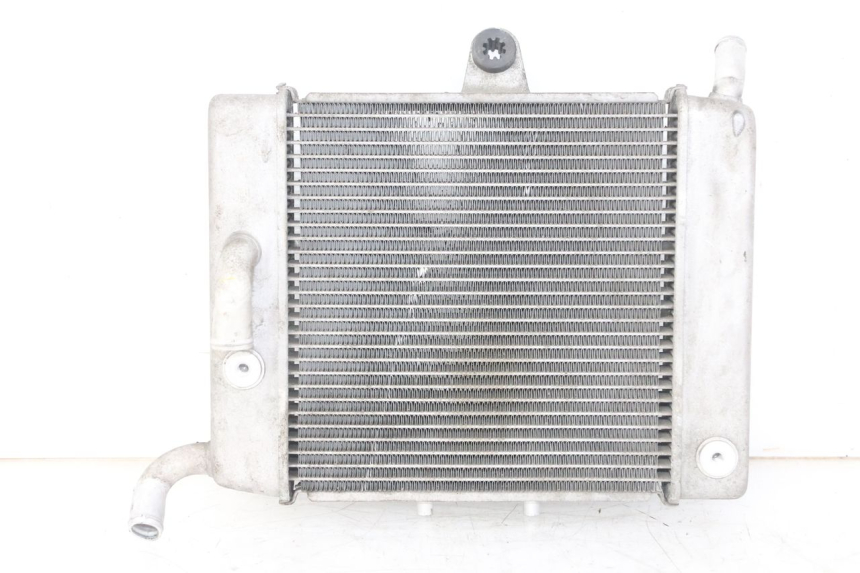 photo de COOLANT RADIATOR HONDA FORZA ABS 300 (2013 - 2017) - Main view