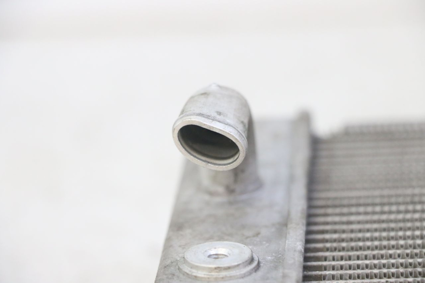 photo de COOLANT RADIATOR HONDA FORZA ABS 300 (2013 - 2017) - Alternative perspective