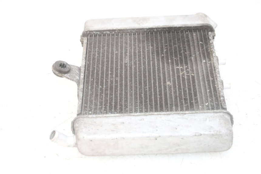 photo de COOLANT RADIATOR HONDA FORZA ABS 300 (2013 - 2017) - Surface and material condition