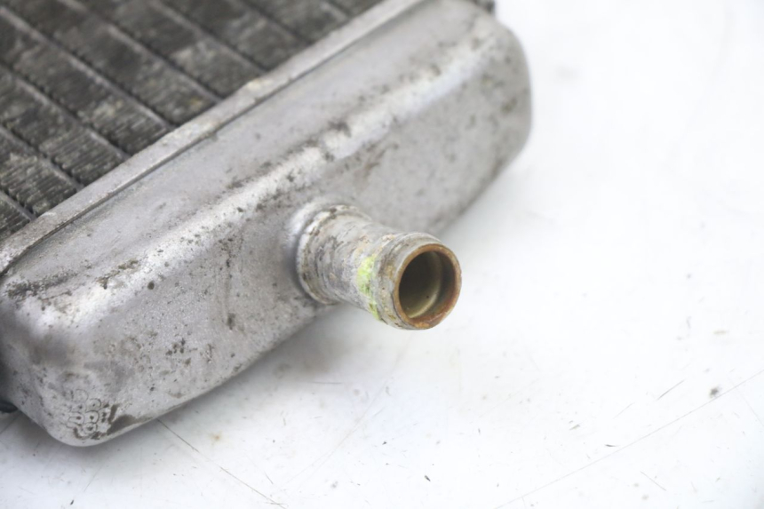 photo de LEFT COOLANT RADIATOR PIAGGIO VESPA GRANTURISMO 125 (2003 - 2007) - Alternative perspective