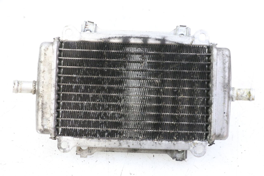 photo de LEFT COOLANT RADIATOR PIAGGIO VESPA GRANTURISMO 200 (2004 - 2005) - Component detail