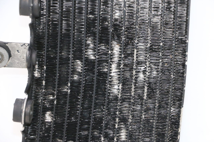 photo de LEFT COOLANT RADIATOR HONDA XRV AFRICA TWIN 750 (1990 - 1992) - High-resolution close-up