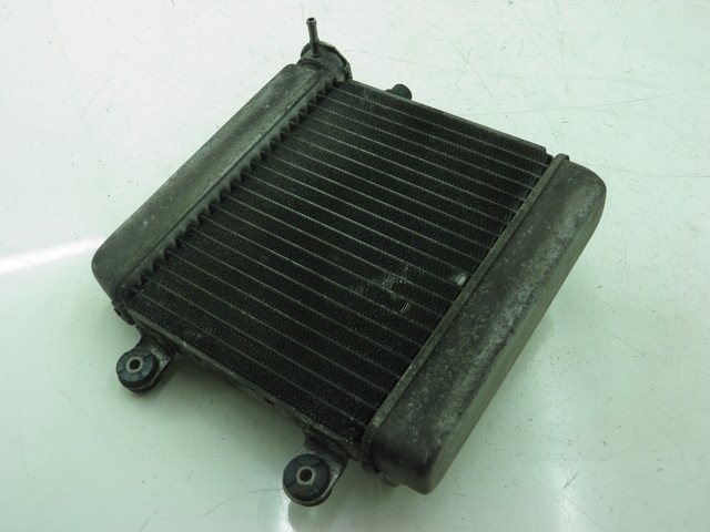 photo de COOLANT RADIATOR HONDA FES S-WING SWING 125 (2007 - 2015) - Main view