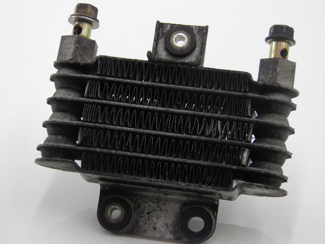 photo de OIL RADIATOR DAELIM S2 125 (2008) - Component detail