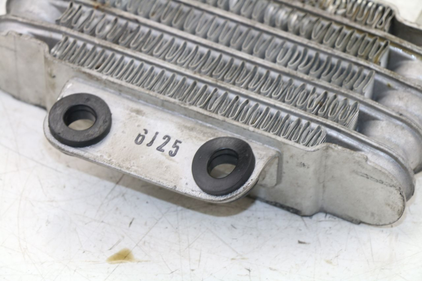 photo de OIL RADIATOR DAELIM VJ ROADWIN 125 (2004 - 2007) - Component detail