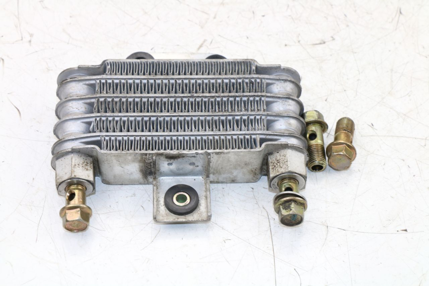 photo de OIL RADIATOR DAELIM VJ ROADWIN 125 (2004 - 2007) - Zoom on usage condition