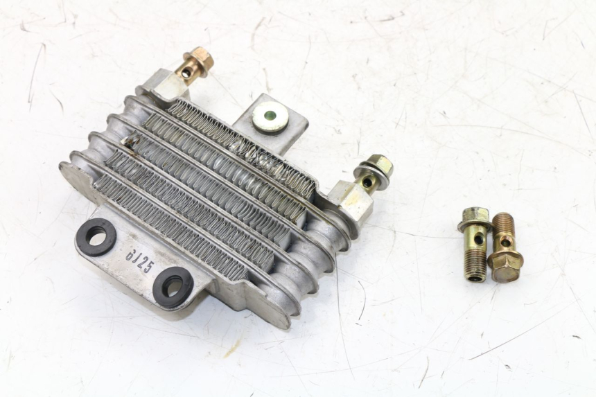 photo de OIL RADIATOR DAELIM VJ ROADWIN 125 (2004 - 2007) - Technical close-up