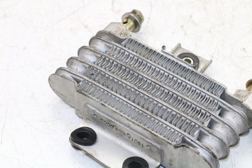 photo de OIL RADIATOR DAELIM VJ ROADWIN 125 (2004 - 2007) - Checked used part