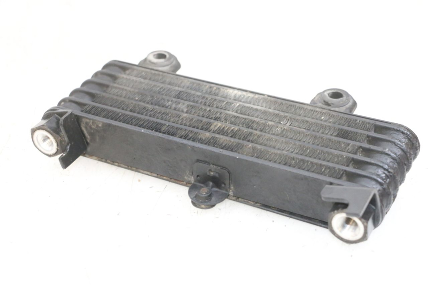 photo de OIL RADIATOR SUZUKI DL V STROM 1000 (2002 - 2007) - Alternative perspective