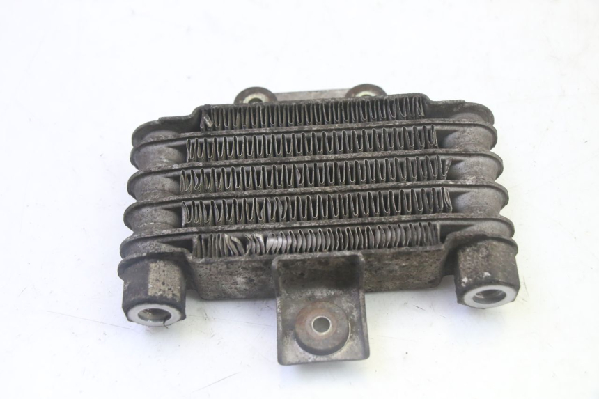 photo de OIL RADIATOR DAELIM HISTORY 125 (2001 - 2002) - Zoom on usage condition