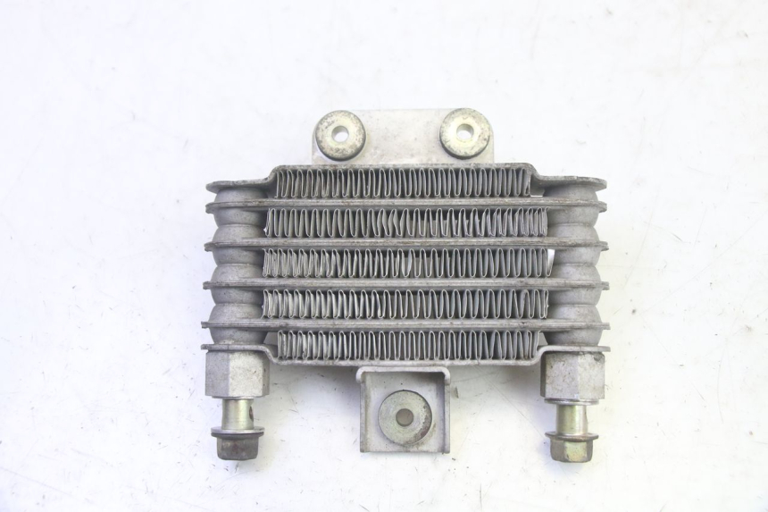 photo de OIL RADIATOR DAELIM S1 125 (2007 - 2016) - Main view