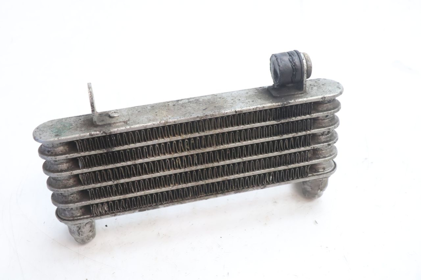 photo de OIL RADIATOR DUCATI SS IE DS CARENEE 1000 (2002 - 2006) - Zoom on usage condition