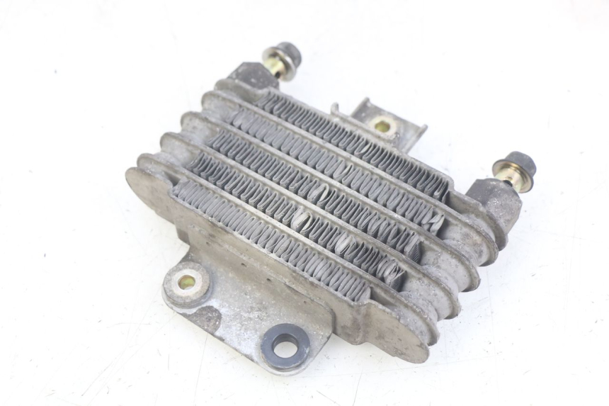 photo de OIL COOLER DAELIM VL DAYSTAR 125 (2000 - 2011) - Component detail