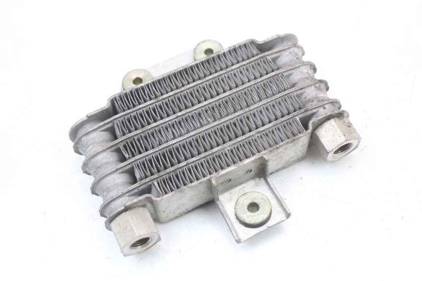 photo de OIL COOLER DAELIM VL DAYSTAR 125 (2000 - 2011) - Zoom on usage condition