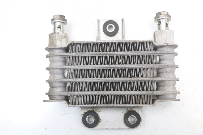 photo de OIL RADIATOR HYOSUNG XRX 125 (2000 - 2008) - Main view