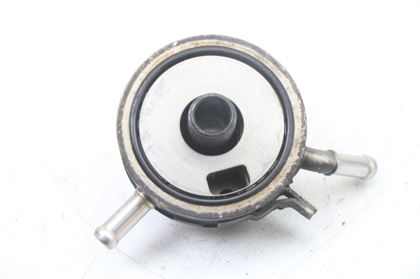 photo de OIL RADIATOR YAMAHA FZS FAZER 600 (2001 - 2003) - Zoom on usage condition