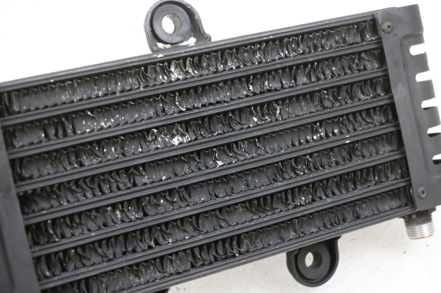 photo de OIL RADIATOR KAWASAKI ZR 7 750 (1999 - 2004) - Component detail