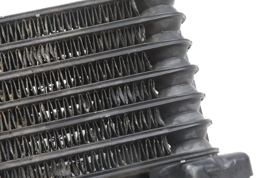 photo de OIL RADIATOR KAWASAKI ZZR 600 (1995 - 2004) - Product overview