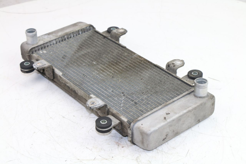 photo de COOLANT RADIATOR KAWASAKI NINJA 300 (2012 - 2017) - Component detail