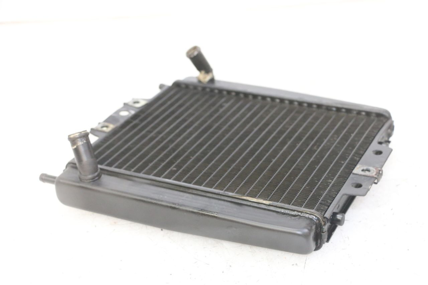 photo de RADIATOR PIAGGIO MP3 LT 300 (2010 - 2016) - Technical close-up