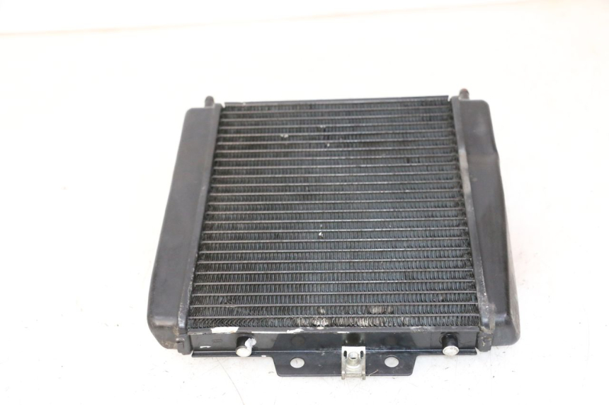 photo de COOLANT RADIATOR PIAGGIO MP3 LT 300 (2010 - 2016) - Surface and material condition