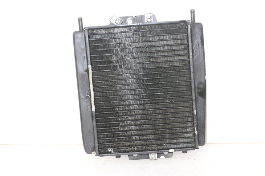 photo de COOLANT RADIATOR PIAGGIO MP3 RL 250 (2006 - 2010) - Component detail