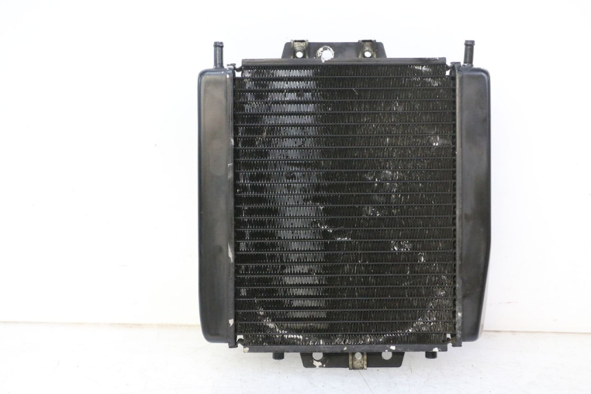 photo de COOLANT RADIATOR PIAGGIO MP3 RL 250 (2006 - 2010) - Main view