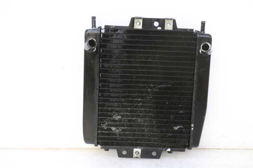 photo de COOLANT RADIATOR PIAGGIO MP3 RL 250 (2006 - 2010) - Supplementary product photo