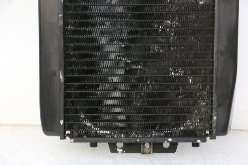 photo de COOLANT RADIATOR PIAGGIO MP3 RL 250 (2006 - 2010) - Detailed visual inspection