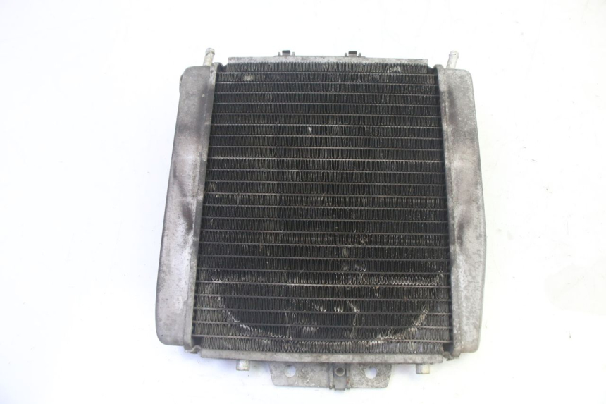 photo de COOLANT RADIATOR PIAGGIO MP3 125 (2006 - 2014) - Main view