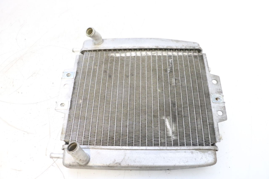 photo de COOLANT RADIATOR PIAGGIO MP3 125 (2006 - 2014) - Main view