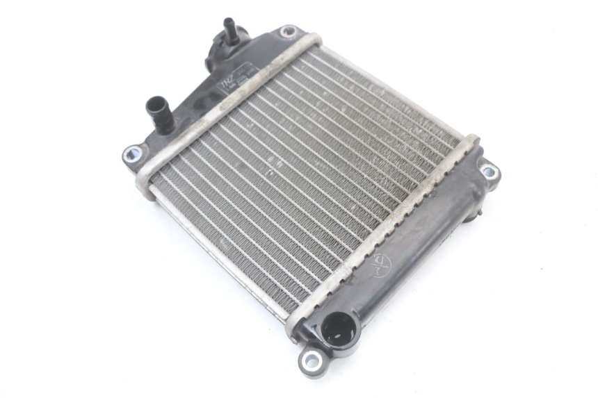 photo de RADIATOR HONDA NHX LEAD 110 (2008 - 2010) - Alternative perspective